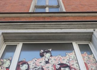 Klub Rudy Kot i ośrodek wypoczynkowy w Sobieszewie pod opieką MTG