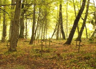 Gdyńskie, arcygdyńskie: Przygoda, która czeka