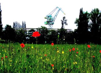 Stocznia od nowa