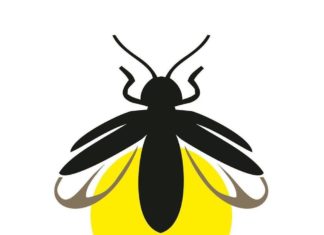 Szopka świętojańska za rok 2024